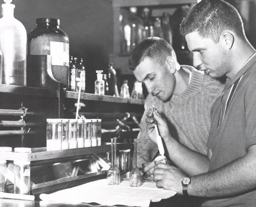 1962 photograph of Dairy Farm and Creamery. Gath Sasser and Jerry Nelson test milk at a laboratory table. [PG1_205-26]