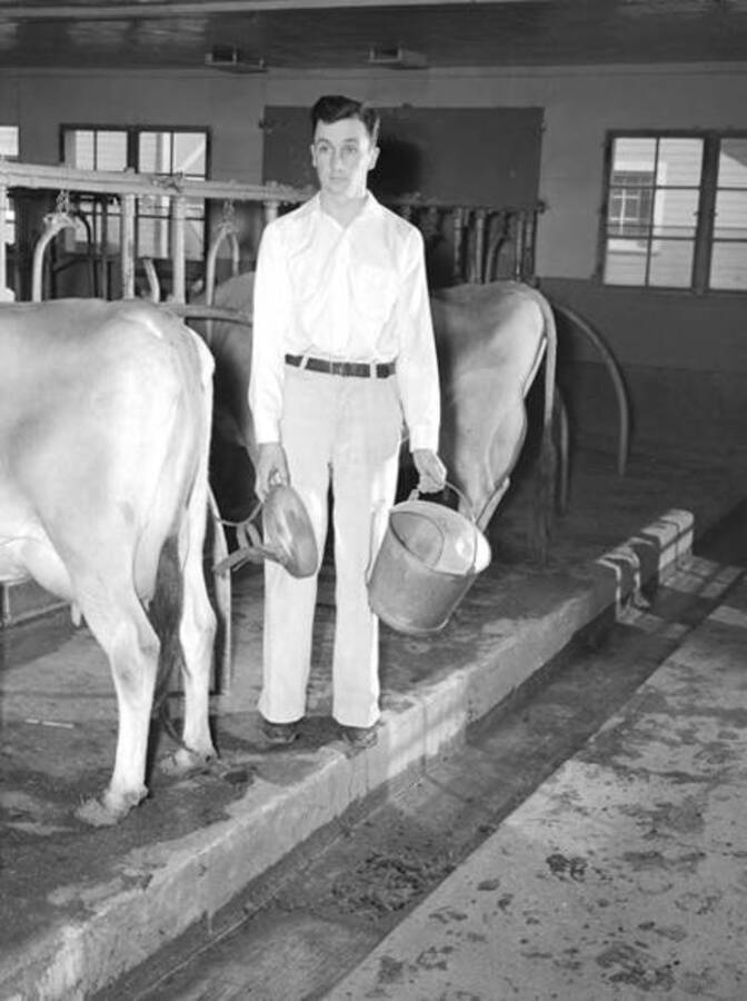1930 photograph of Dairy Farm and Creamery. A student holding milking equipment. [PG1_205-42]