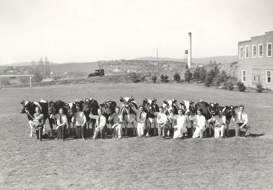 1937 photograph of Dairy Farm and Creamery. Students show Holstein cows in a grassy field. I Tower visible in the background. [PG1_205-07]