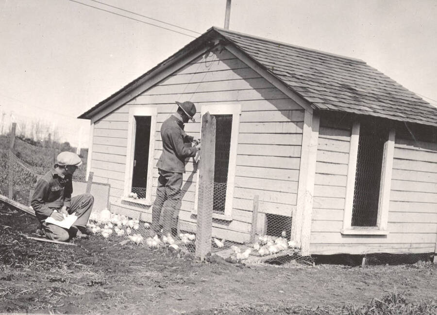 1922 photograph of University Farms. Two people inspect a poultry house. [PG1_206-01]
