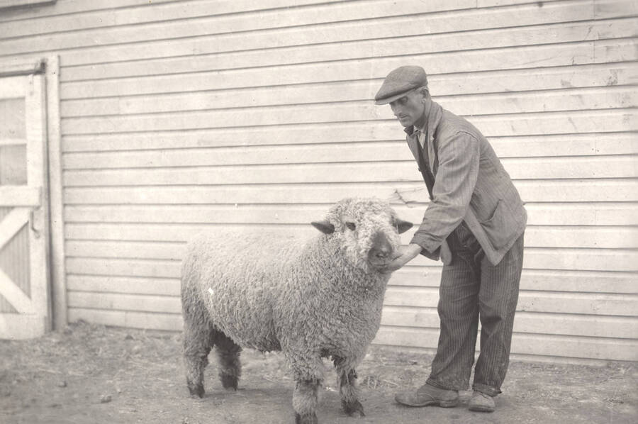 1936 photograph of University Farm. A man stands with a sheep in front of a building. [PG1_206-15]
