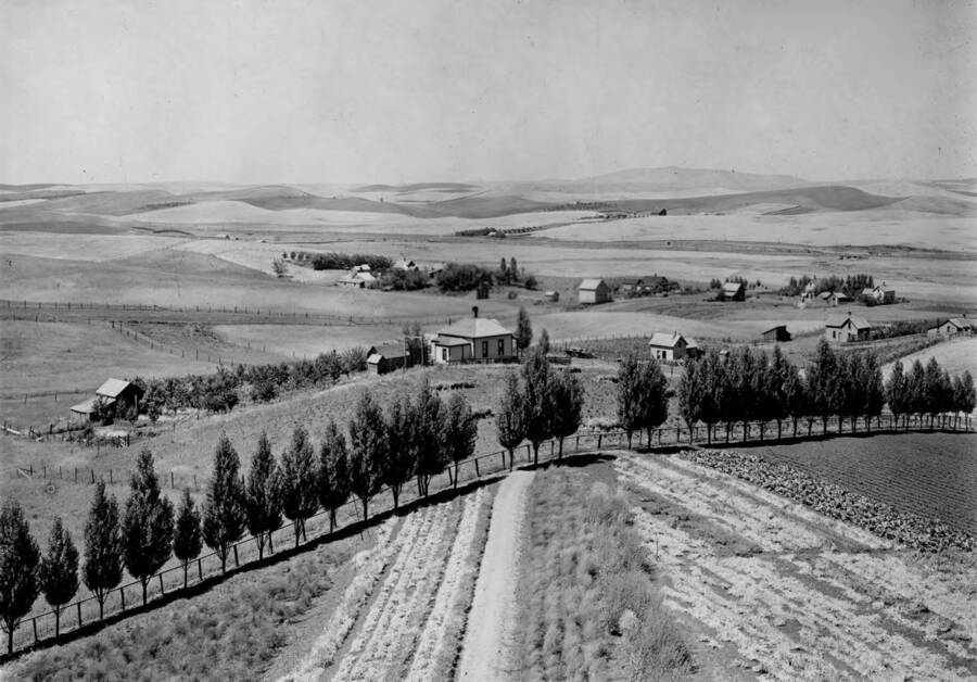 1900 photograph of Plant Sciences. Horticultural plots on campus. [PG1_210-01]