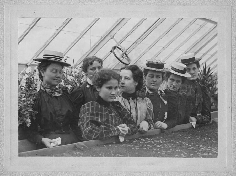 1899 photograph of Plant Sciences. Five female students in a greenhouse. l-r: Minnie G. Marcy, Carrie A. Tomer, Effie May Wilson, Mary C. McFarland, Grace E. Woodworth, Pauline J.Moerder, Sadie Mae Skattaboe. [PG1_210-11a]