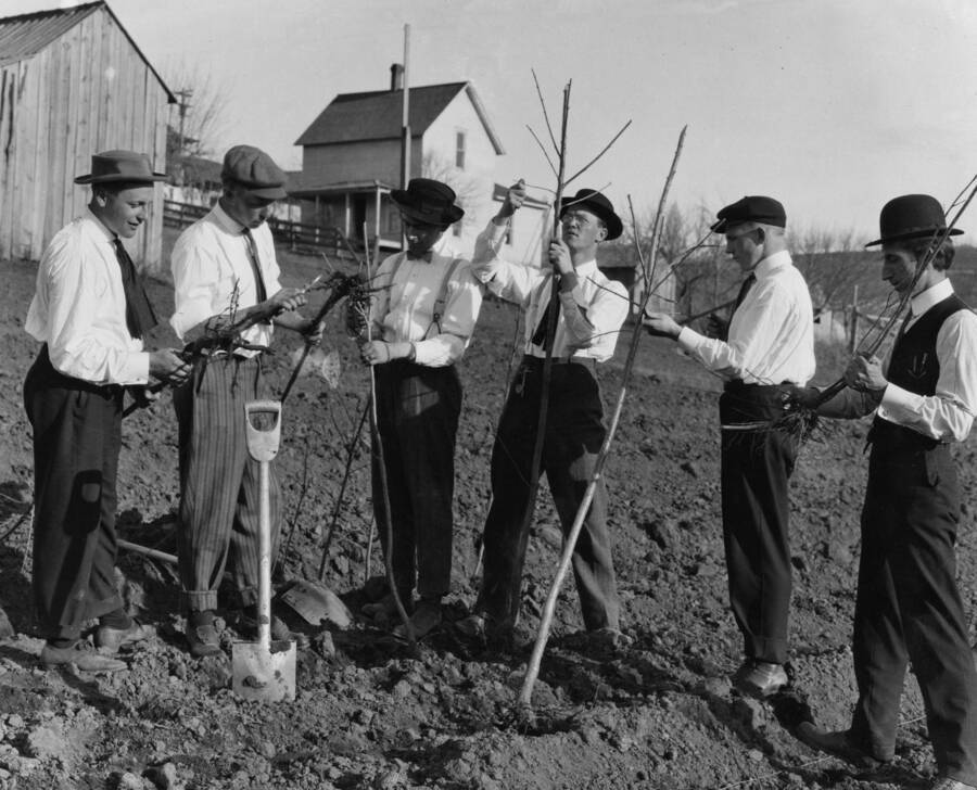 1926 photograph of Plant Sciences. Six students planting trees with University Farm buildings in the background. [PG1_210-15]