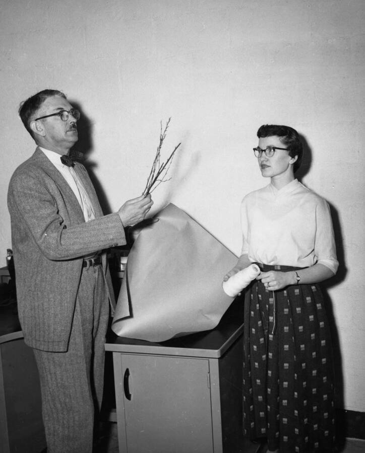 1954 photograph of Plant Sciences. Dr. George W. Woodbury and Mrs. Wayne Crow prepare a Syringa plant. Donor: Publications Dept. [PG1_210-18]
