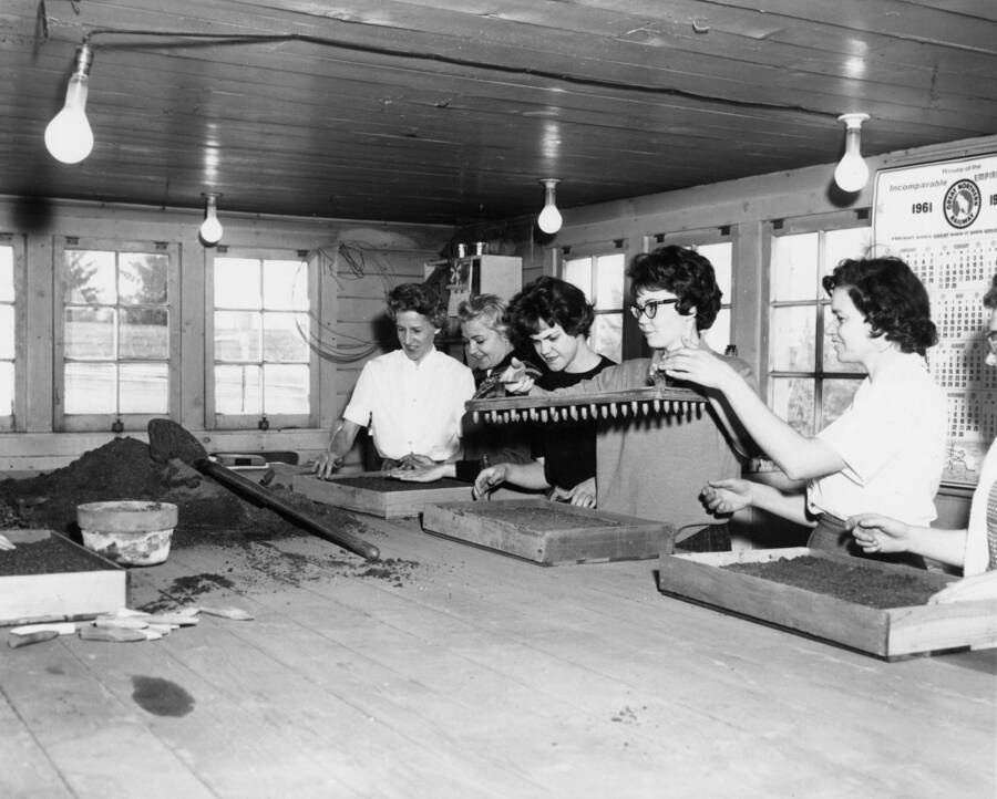 1961 photograph of Plant Sciences. Six female students prepare soil for flower planting class. Donor: Photo Center. [PG1_210-19]