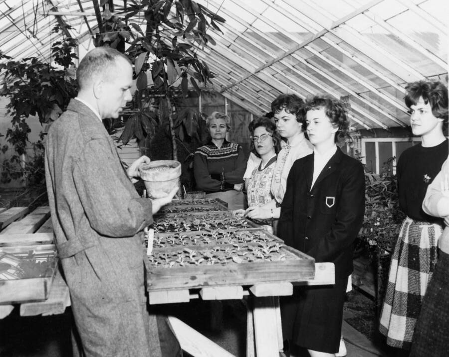 1961 photograph of Plant Sciences. Students examine trays of flower seedlings inside a greenhouse. Donor: Photo Center. [PG1_210-26]
