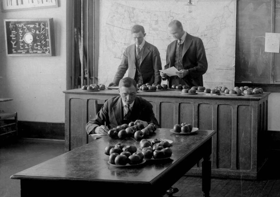 1917 photograph of Plant Sciences. Three men judge fruit in a classroom. [PG1_210-04]