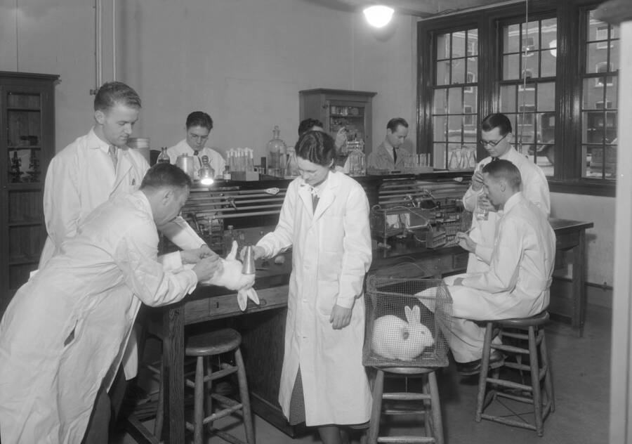 1934-12-04 photograph of Bacteriology building. Professor and students work with lab rabbits. [PG1_212_10]