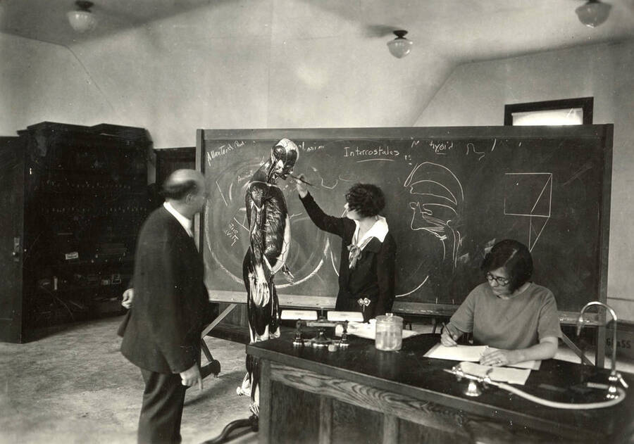 1930 photograph of Zoology building. Professor and student work with a model of a human. [PG1_214_03]