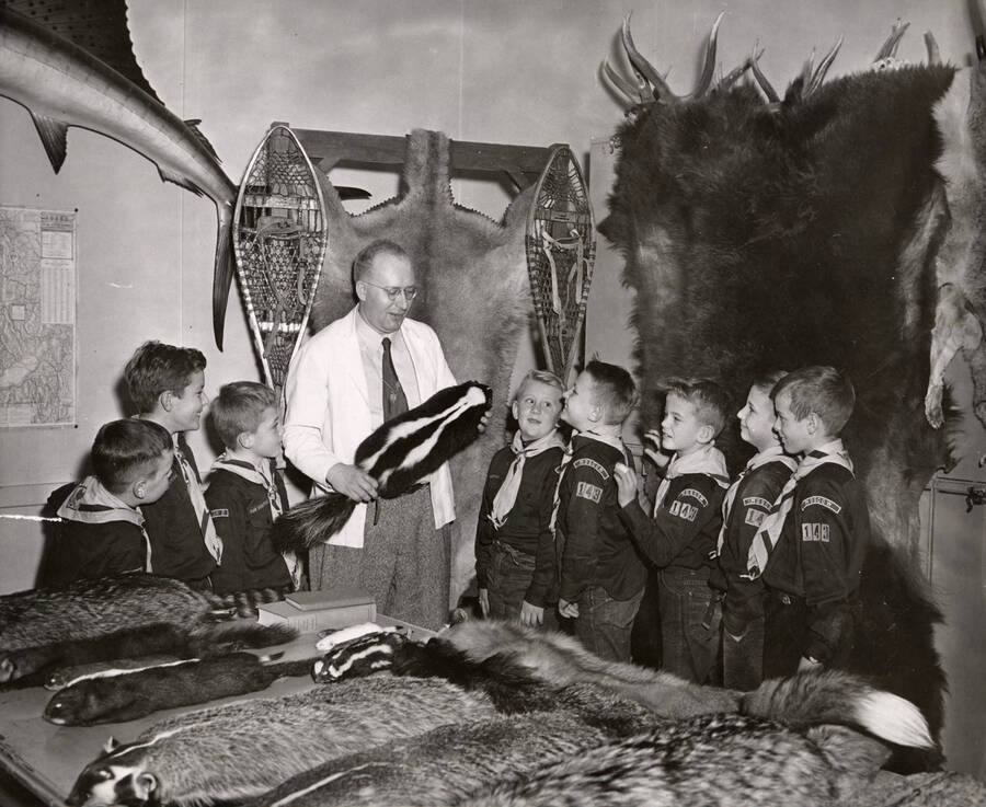 1953 photograph of Zoology building. Professor shows the different wild animal skins to a group of cub scouts. [PG1_214_22]