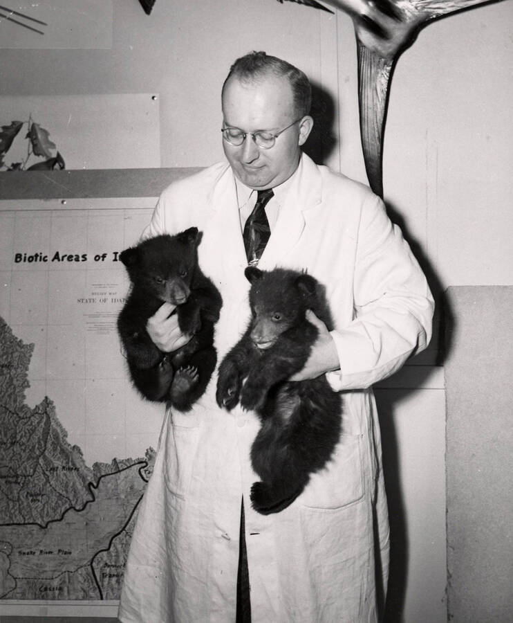 1953 photograph of Zoology building. Professor holds two bear cubs. [PG1_214_24]