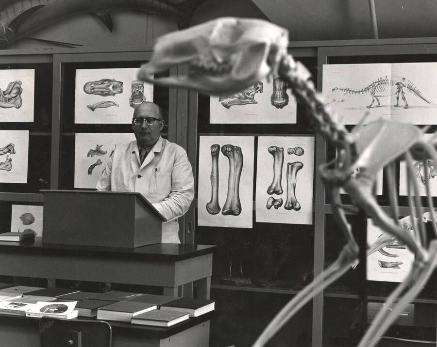 1965 photograph of Zoology building. Professor gives a lecture, skeleton in the foreground. [PG1_214_27a]