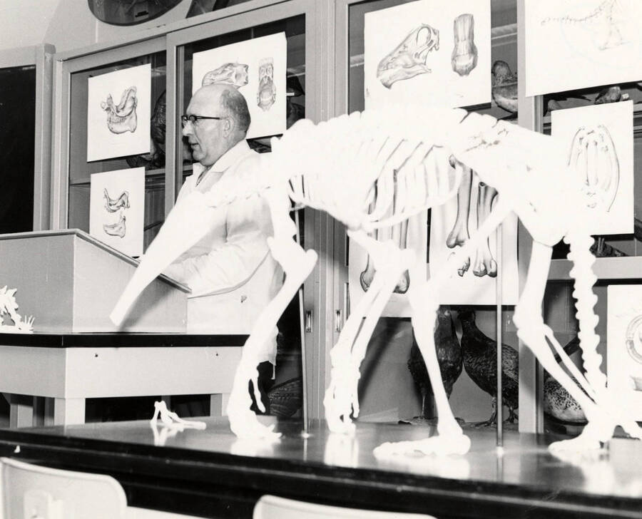1965 photograph of Zoology building. Professor gives a lecture, skeleton in the foreground. [PG1_214_27c]