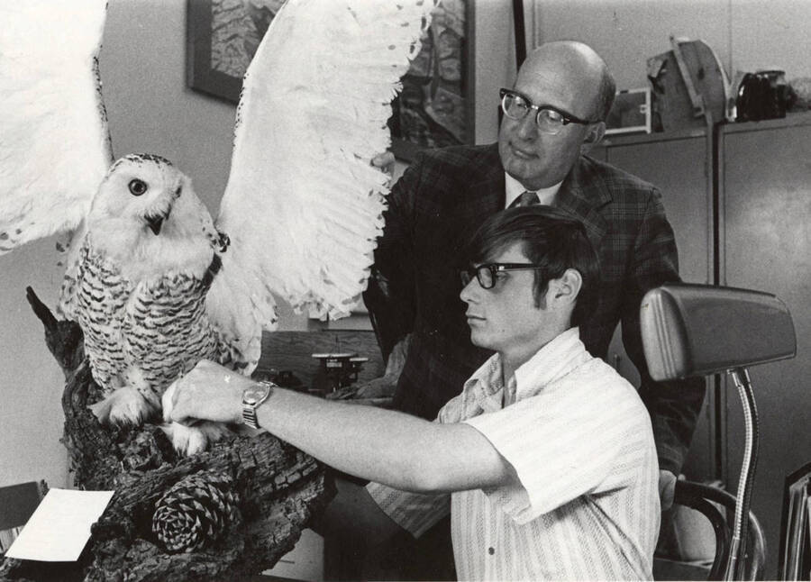 1973 photograph of Zoology building. Professor and student work on a display of an owl. [PG1_214_28]