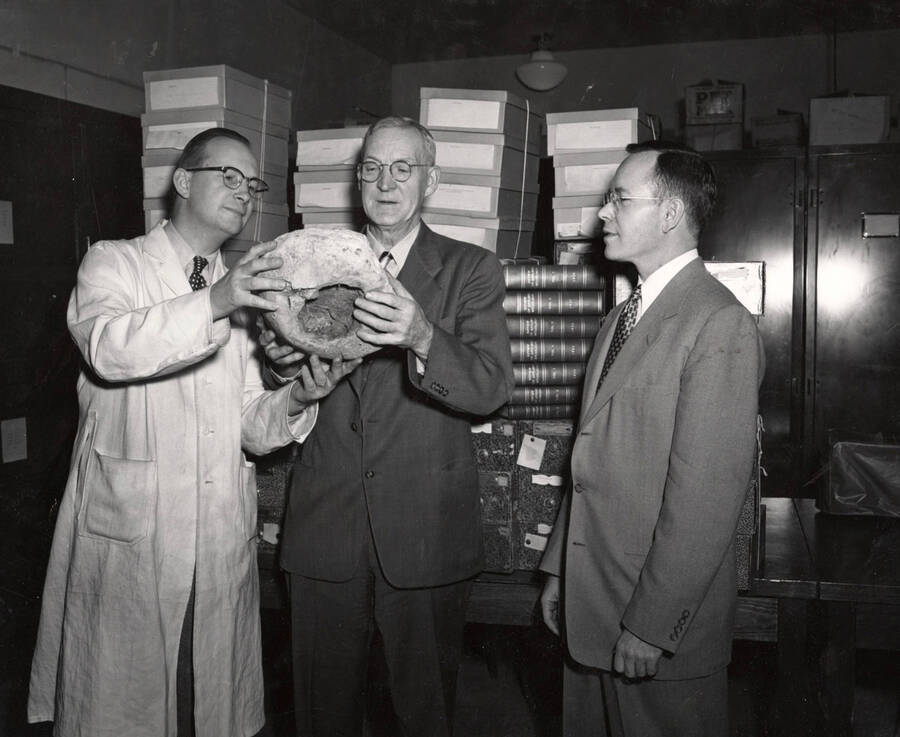 1952 photograph of Botany building. Faculty examines a specimen from a donation. [PG1_215_08]