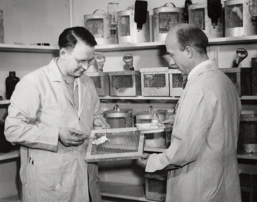 1948 photograph of Agricultural chemistry building. Faculty examines specimens in the lab. [PG1_216_09]
