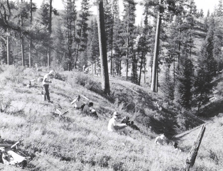 1966 photograph of College of Forestry. Students sitting on a hillside during the forestry summer camp. Also print. Donor: Fred Johnson. [PG1_218-69a]