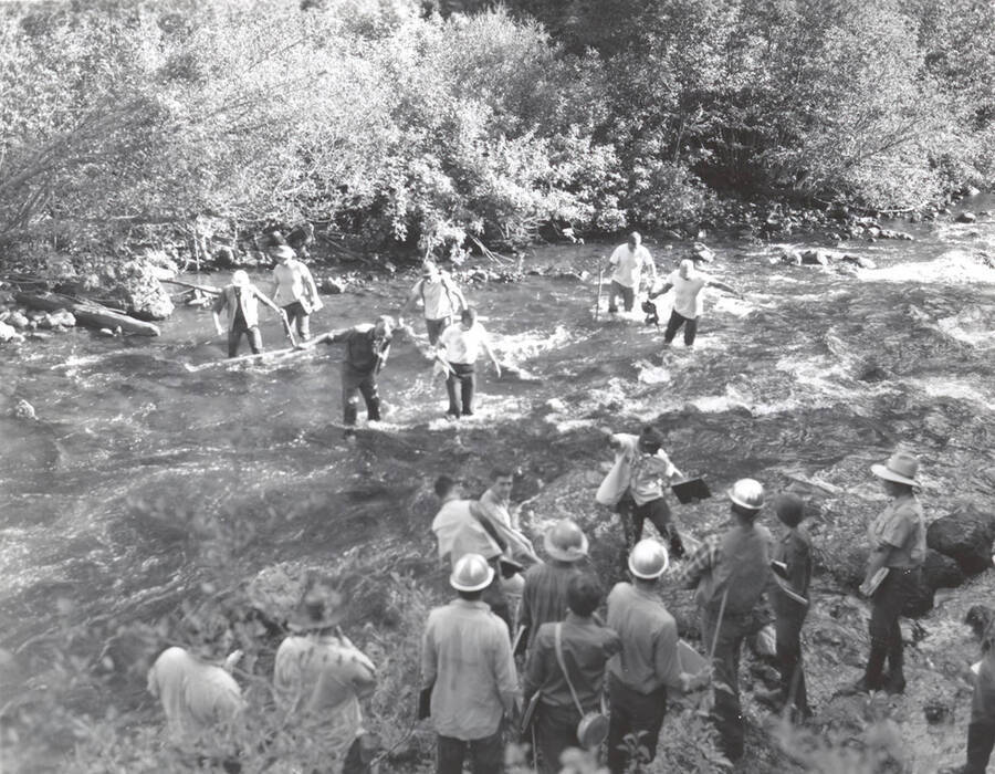 1969 photograph of College of Forestry. Students wade across the Middle Fork of Weiser River during the forestry summer camp. Also print. Donor: Fred Johnson. [PG1_218-71a]