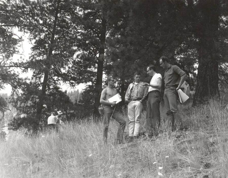 1969 photograph of College of Forestry. Four students stand on a hillsidein the Salmon River canyon during the forestry summer camp. Also print. Donor: Fred Johnson. [PG1_218-71d]