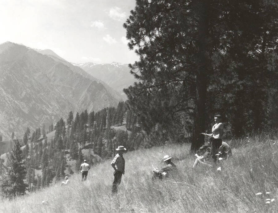 1969 photograph of College of Forestry. Lee sharp and students rest on a hillside during the forestry summer camp. Mountains are visible in the background. Also print. Donor: Fred Johnson. [PG1_218-71f]