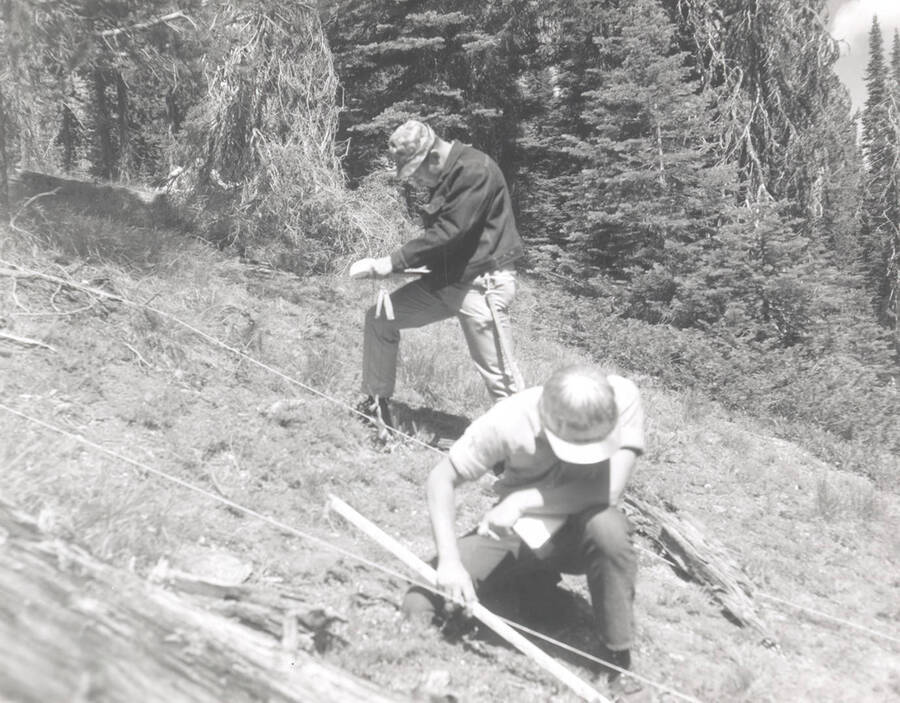 1969 photograph of College of Forestry. Students mapping ground quadrents on a hillside during the forestry summer camp. Donor: Fred Johnson. [PG1_218-71h]