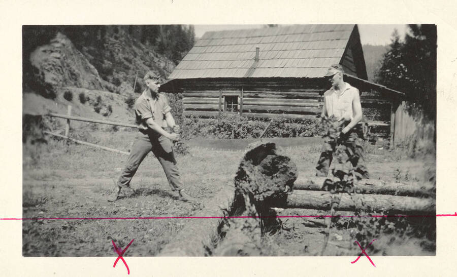 1923 photograph of College of Forestry. Two students use a two-man saw with a log cabin in the background. [PG1_218-13]