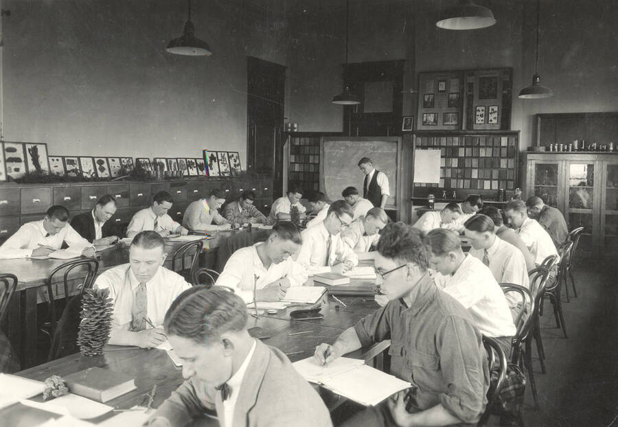 1927 photograph of College of Forestry. Students studying in the Dendrology Laboratory. [PG1_218-02]