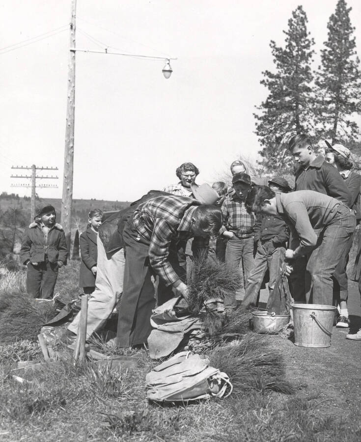 1953 photograph of College of Forestry. Extension forester Vernon H. Burlison passes out trees and tools during the Harrison School project. Donor: Publications Dept. [PG1_218-26]