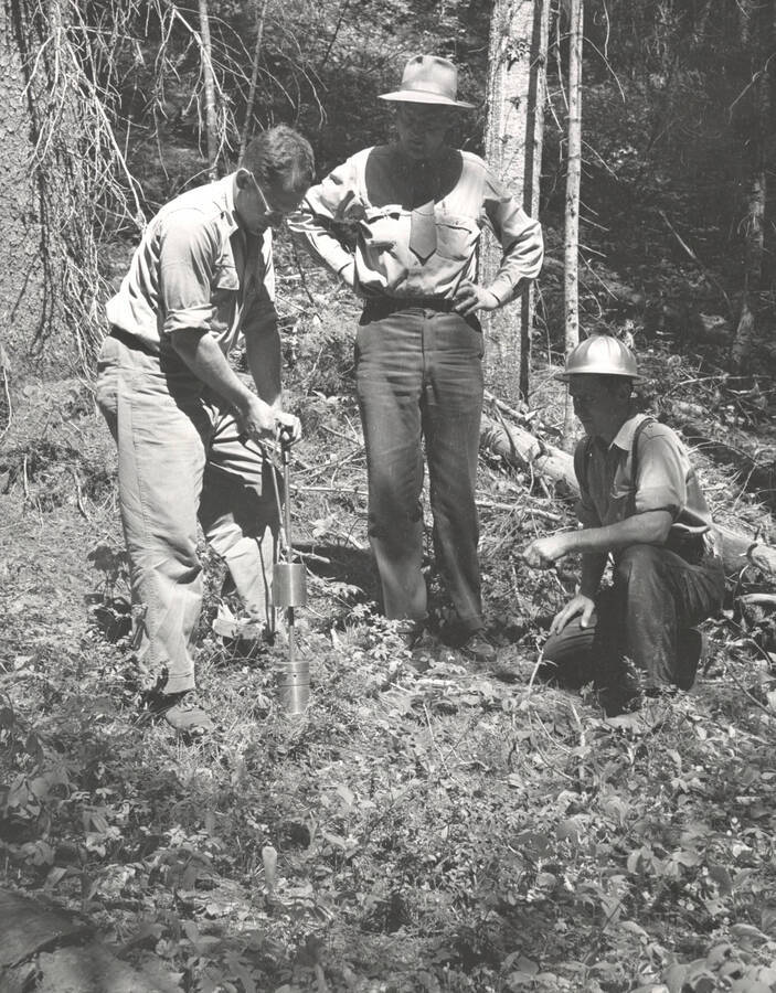 1953 photograph of College of Forestry. Students collecting soil samples. Donor: Publications Dept. [PG1_218-28]