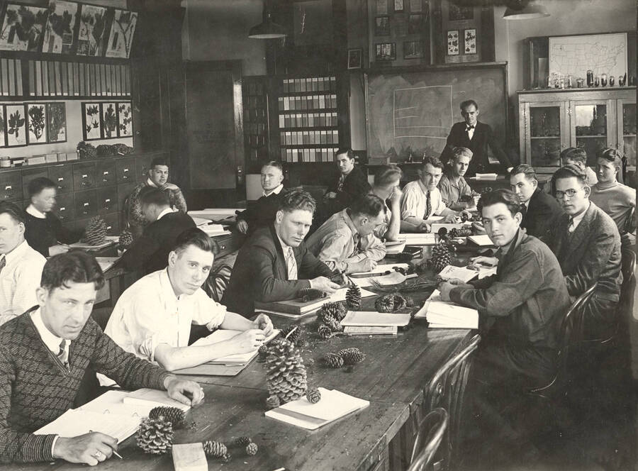 1927 photograph of College of Forestry. Students studying in the Dendrology Laboratory. [PG1_218-03]