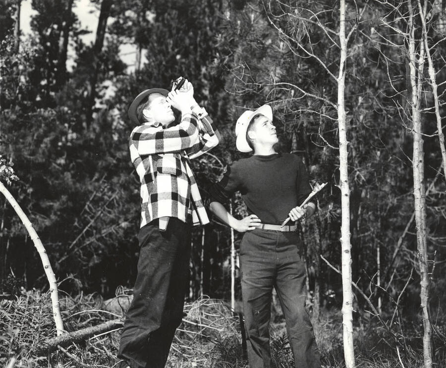 1950 photograph of College of Forestry. Two students examine trees. Donor: Publications Dept. [PG1_218-35]