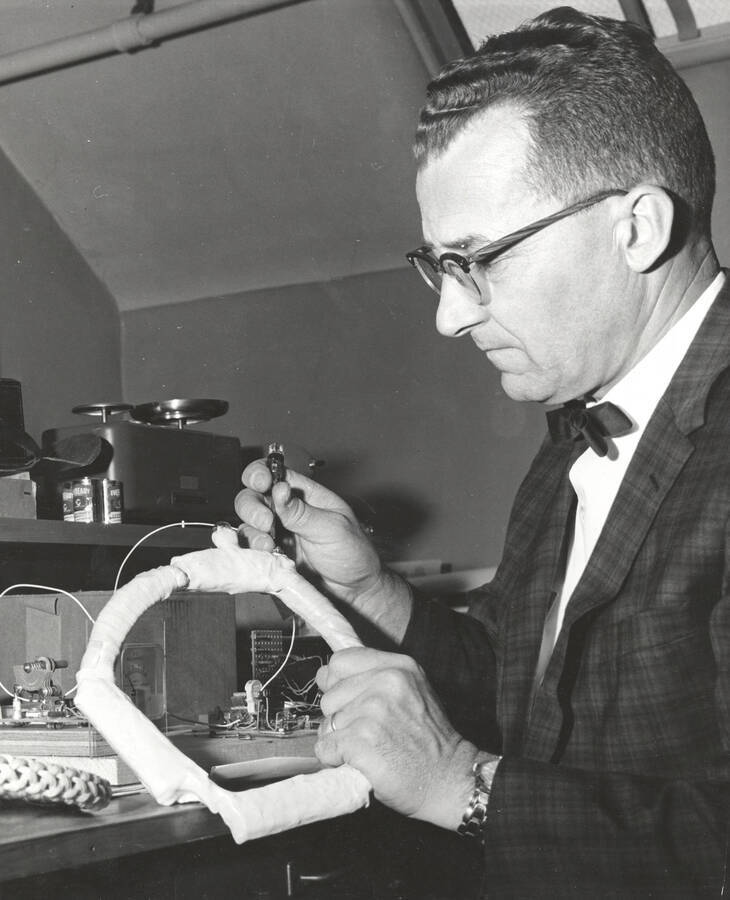 1964 photograph of College of Forestry. Kenneth Hungerford examines a blinking light on a deer collar that he designed. Donor: Publications Dept. [PG1_218-43]