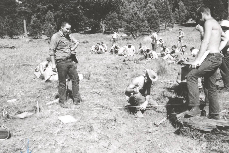 1963 photograph of College of Forestry. Students work in a field during the forestry summer camp. Also print. Donor: Fred Johnson. [PG1_218-68]