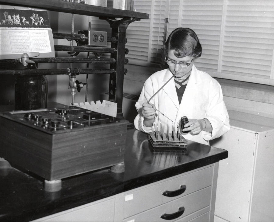 1956 photograph of Home Economics. Cecelia A. Pickard analyzes rat blood serum for Vitamin A. Donor: Publications Dept. [PG1_221-082]