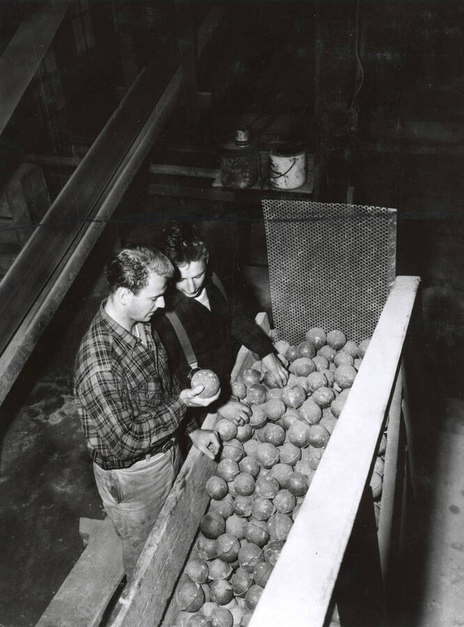 1953 photograph of College of Mines. Students examining balls at a ball mill. [PG1_223-19]
