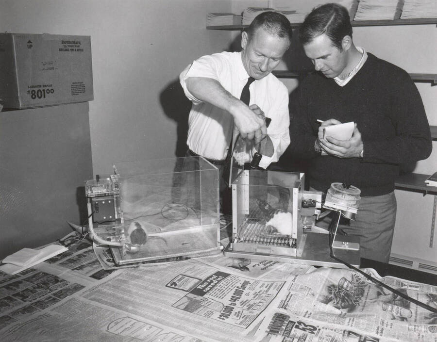 1962 photograph of Psychology. Victor E. Montgomery and a student conduct an experiment using rats. [PG1_239-02]
