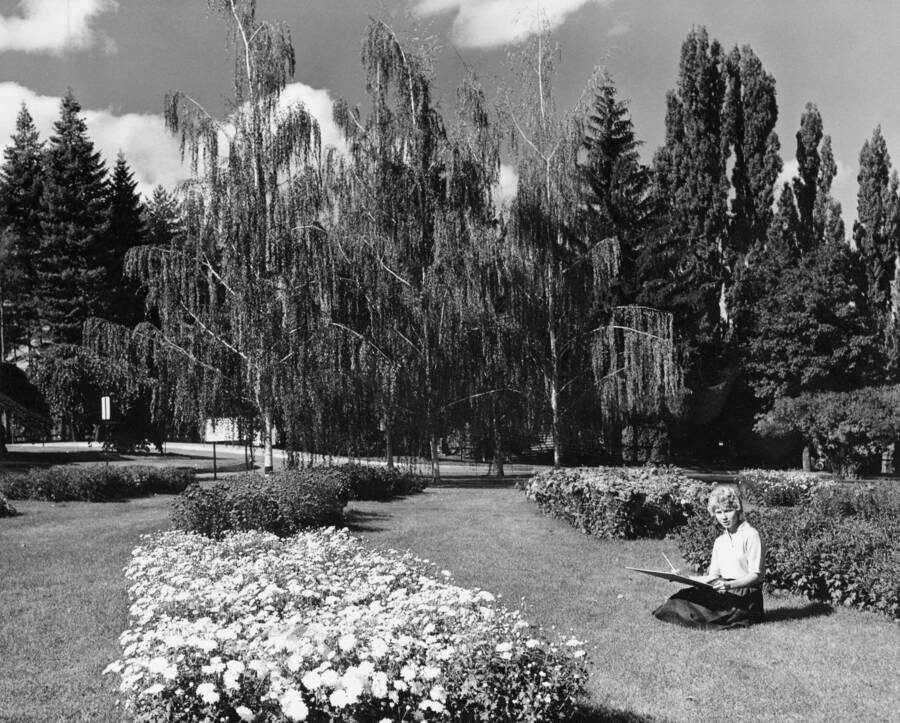 1961 photograph of Art and Architecture. A student sketches outdoors in a garden. Donor: Publications Dept. [PG1_241-04]