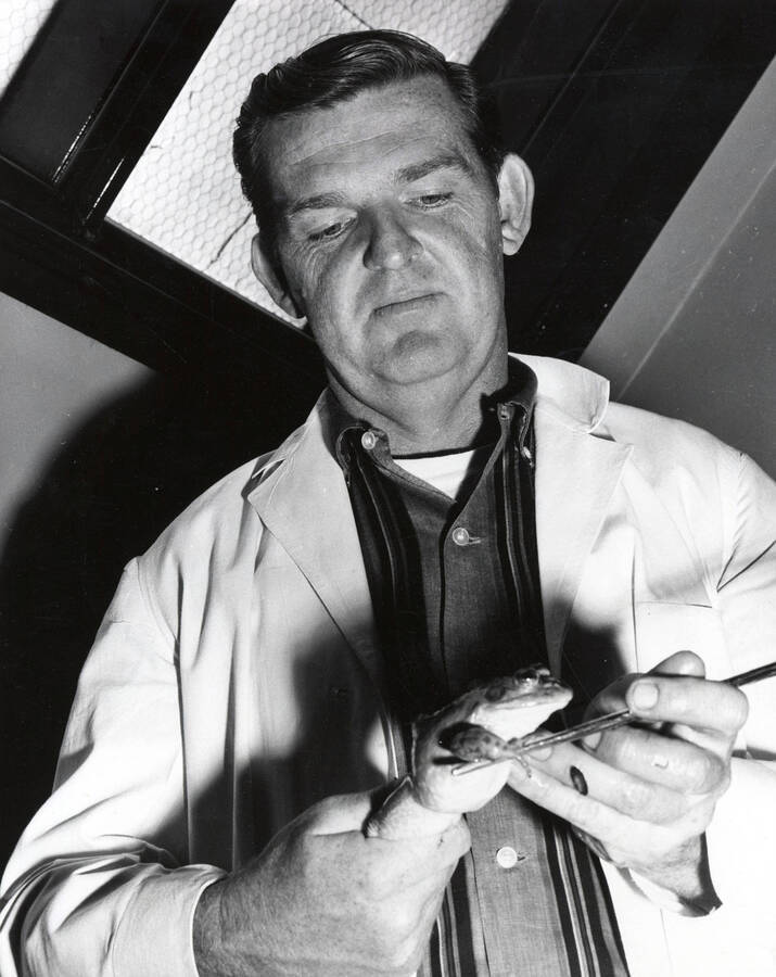 1960 photograph of Biological Sciences. Philip Dumas holding a frog. Donor: Publications Dept. [PG1_247-01]