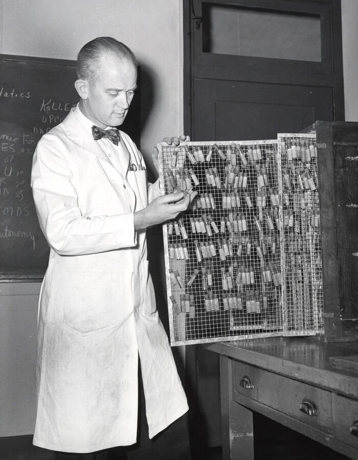 1951 photograph of Biological Sciences. Donald C. Lowrie and his collection of more than a thousand spiders. Donor: Publications Dept. [PG1_247-03]