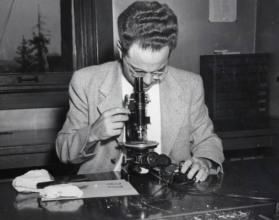 1952 photograph of Geology. Harold A. Powers using a microscope. Donor: Publications Dept. [PG1_250-01]