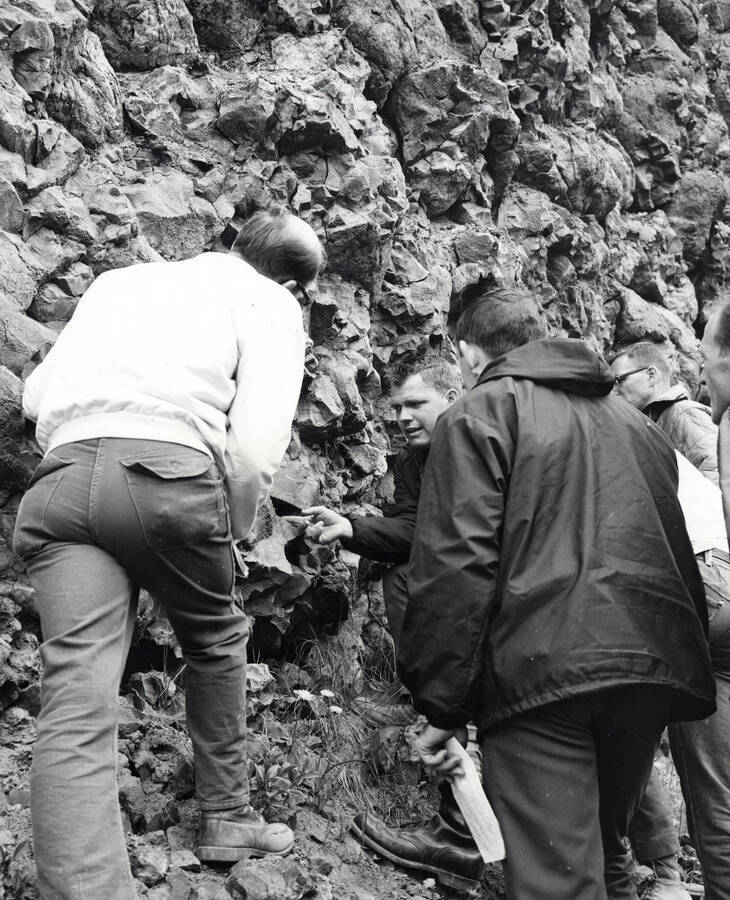 1966 photograph of Geology. Allen Clark and students examining a pillow basalt outcropping near Clarkia. [PG1_250-12a]