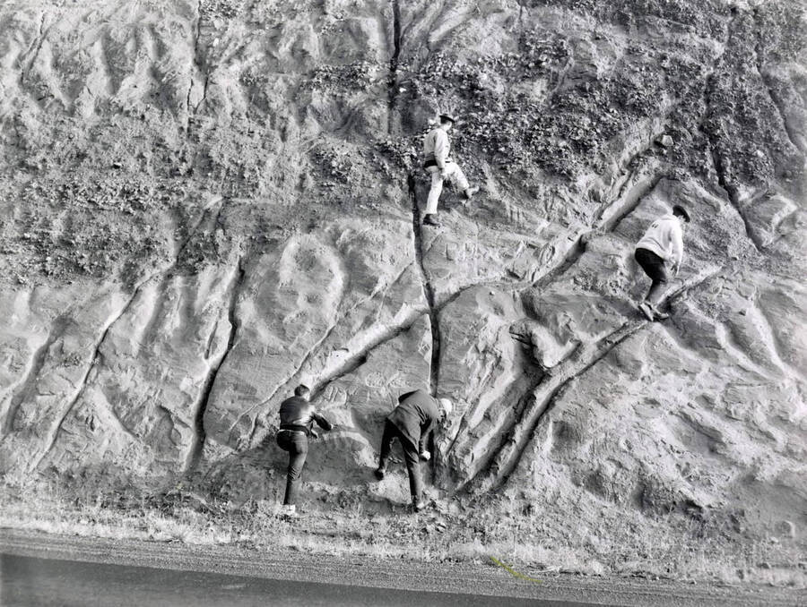 1953 photograph of Geology. Students climbing a rock formation at the foot of the Lewiston Grade. Donor: Publications Dept. [PG1_250-04]