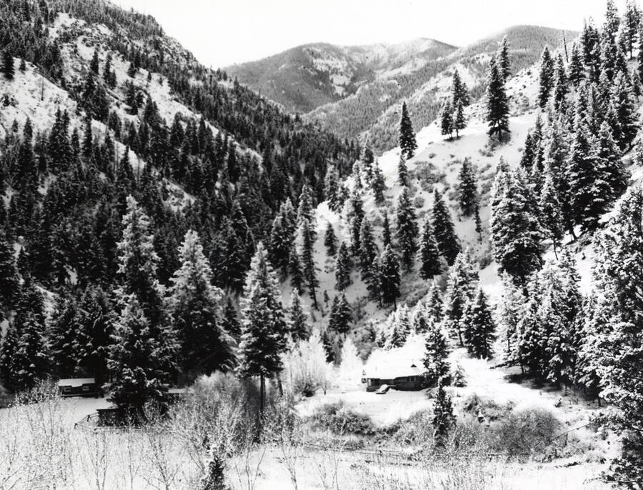 1971 photograph of Wildlife Resources. Taylor Ranch against a background of mountains and trees. [PG1_255-01]