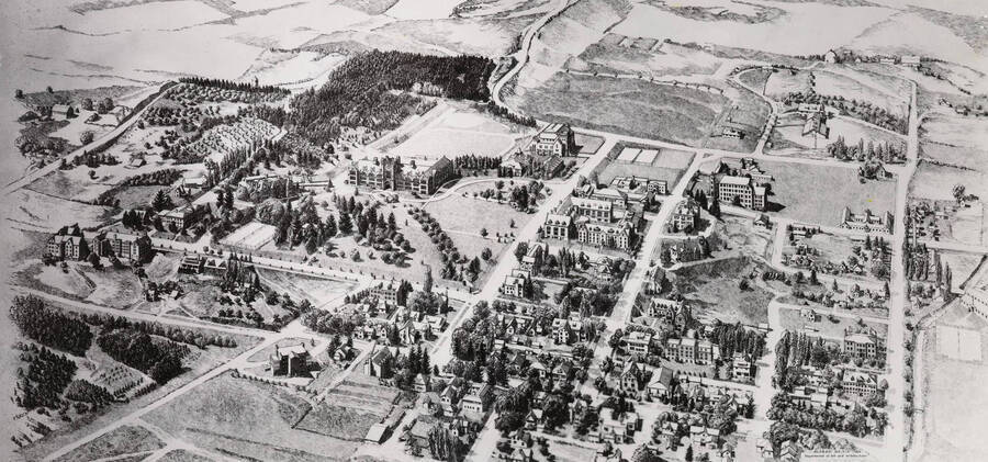 1935 photograph of University of Idaho campus. 5x10 black and white print of drawing. [PG1_004-01]