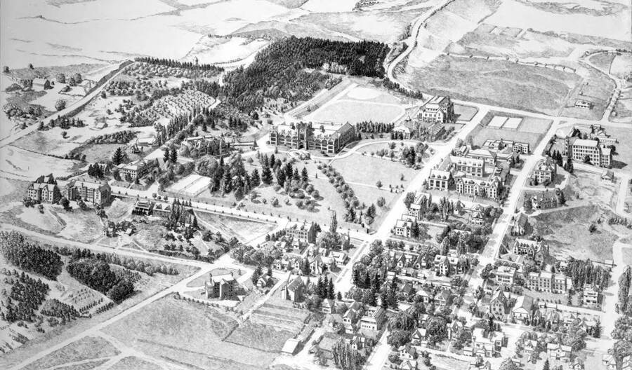 Pen and ink drawing. Aerial view of University of Idaho campuses. [4-4]