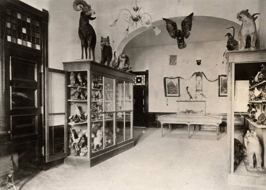 1900 photograph of Administration Building. Interior view of the entrance hall museum cases of stuffed animals.[PG1_51-22]