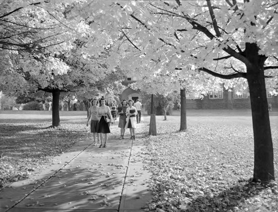 1945 photograph of Administration Building. View of students walking under the fall foliage. [PG1_52-105]