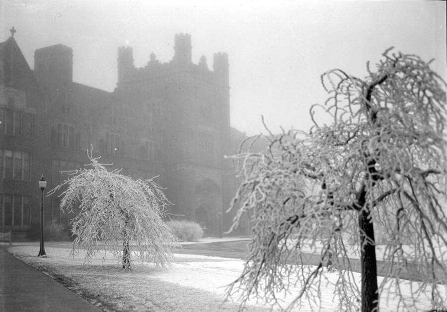 1926 photograph of Administration Building. View of the ice covered trees in the fog. [PG1_52-108]