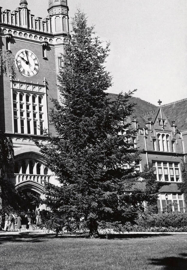 1951 photograph of Entrance to Administration Building. View of the clock tower. Donor: U of I Alumni Office. [PG1_52-163]